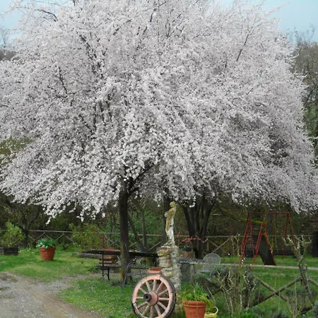 Hotel Delle Noci 4*